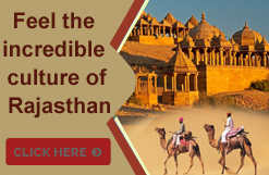Rajasthan India Tour